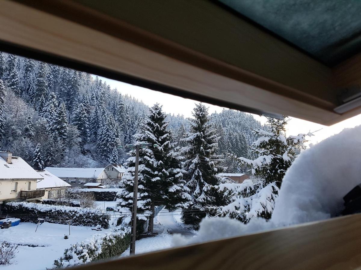 Le Petit Kichon Apartment Gérardmer Екстериор снимка
