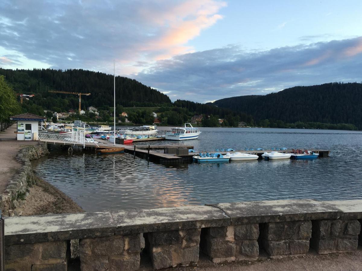 Le Petit Kichon Apartment Gérardmer Екстериор снимка