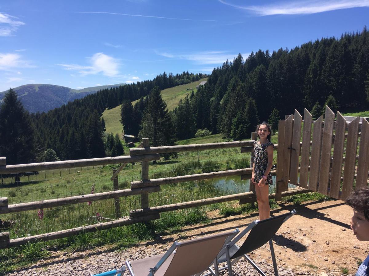 Le Petit Kichon Apartment Gérardmer Екстериор снимка