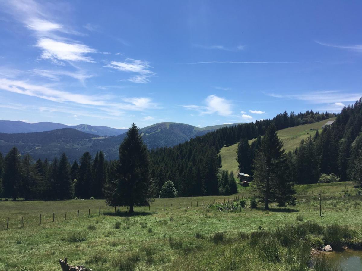 Le Petit Kichon Apartment Gérardmer Екстериор снимка