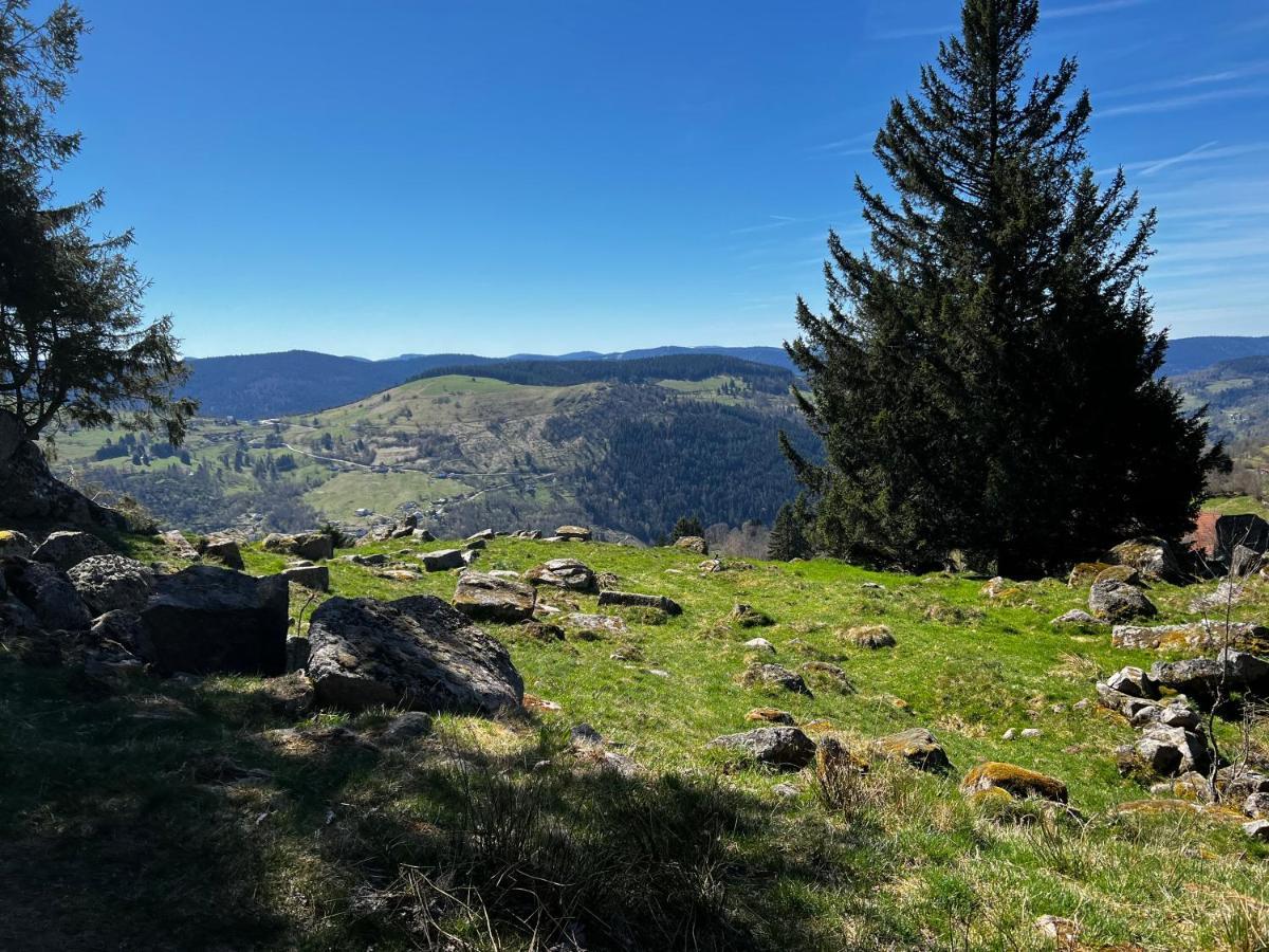 Le Petit Kichon Apartment Gérardmer Екстериор снимка