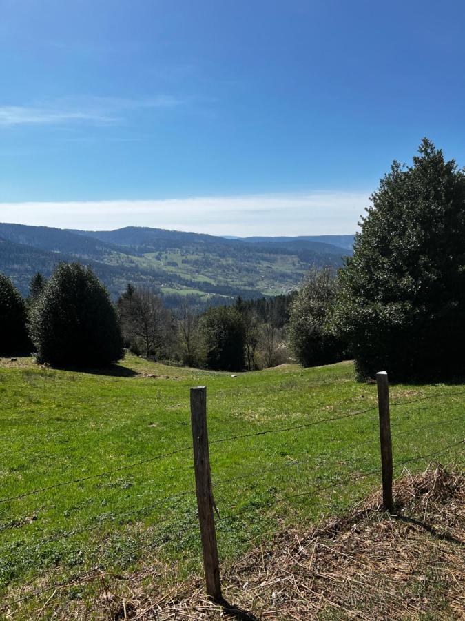Le Petit Kichon Apartment Gérardmer Екстериор снимка