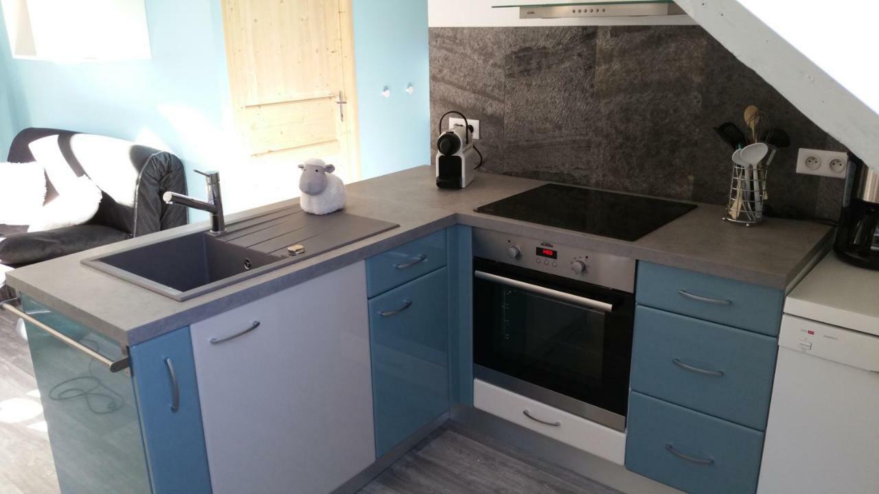 Le Petit Kichon Apartment Gérardmer Екстериор снимка